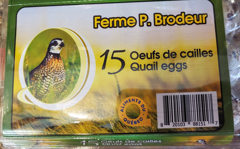 Quail Eggs - Fresh pack of 15