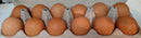 Beking's Poultry Farm - Large Brown Eggs