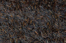 Floating Leaf - Pure Wild Rice