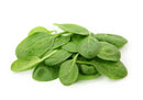 Baby Spinach