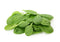 Baby Spinach