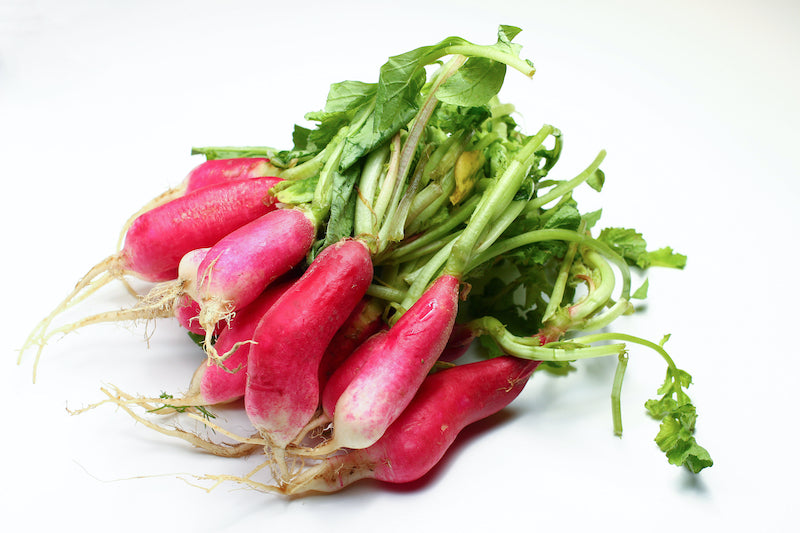 French Breakfast Radish