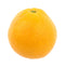 Large Navel Orange
