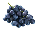 Ontario Blue Grapes