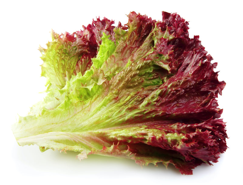 Local Red Leaf Lettuce