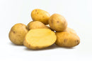 Organic Yukon Gold Potatoes